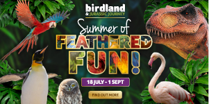 Days out in the Cotswolds | Birdland