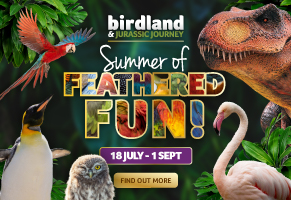 Days out in the Cotswolds | Birdland