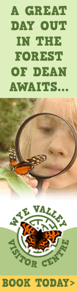 Things to do in the Forest of Dean | Wye Valley Visitor Centre
