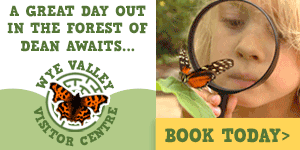 Things to do in the Forest of Dean | Wye Valley Visitor Centre
