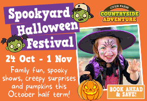 Things to do this Halloween in Gloucester | Spookyard at Over Farm