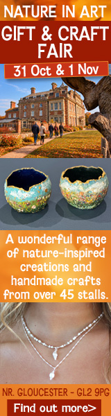 Nature in Art Autumn Fair