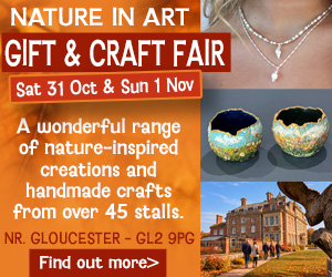 Nature in Art Autumn Fair