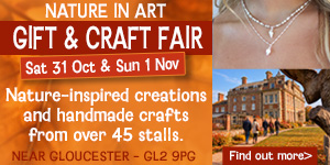 Nature in Art Autumn Fair