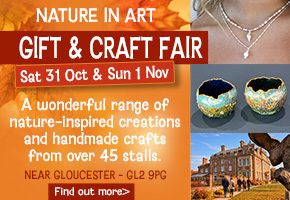 Nature in Art Autumn Fair