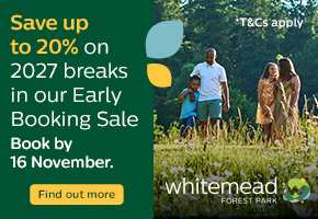 Cabin Stays in the Forest of Dean | Whitemead Forest Park 2027