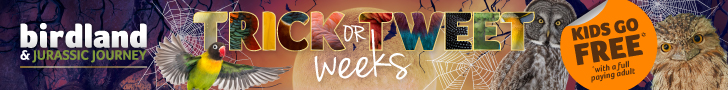 Halloween events in the Cotswolds | Birdland October Half Term Kids Go Free