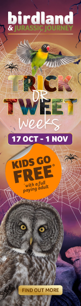 Halloween events in the Cotswolds | Birdland October Half Term Kids Go Free