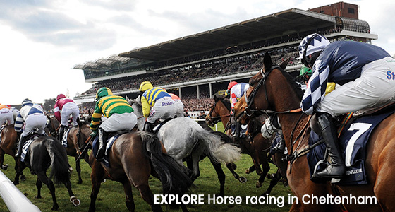 Cheltenham Whats On, Events and Places - Click to view