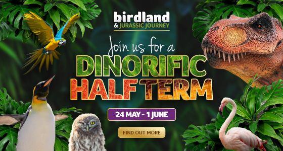 Whats On, Events and Places - Click to view