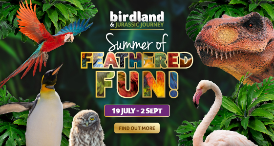 Cotswolds Whats On, Events and Places - Click to view