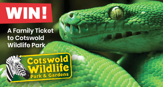Gloucestershire Competitions - Click to view