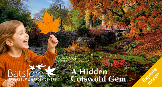 Cotswolds Whats On, Events and Places - Click to view