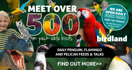 Cotswolds Whats On, Events and Places - Click to view