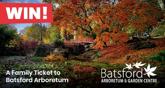 Gloucestershire Competitions - Click to view