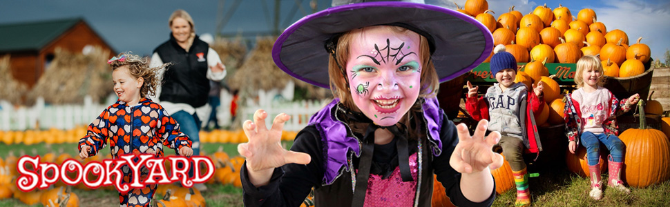 Highlights of Gloucestershire Whats on and Gloucestershire Events