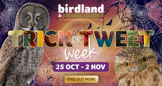 Whats On, Events and Places - Click to view