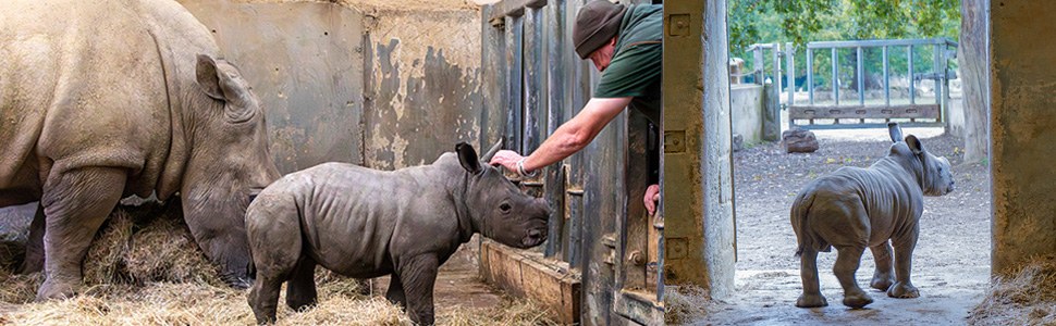 Highlights of Gloucestershire Whats on and Gloucestershire Events