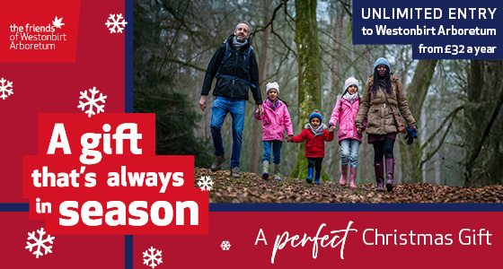 Whats On, Events and Places - Click to view