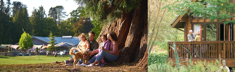 Highlights of Gloucestershire Whats on and Gloucestershire Events