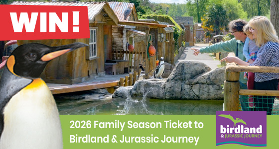 Gloucestershire Competitions - Click to view