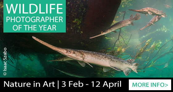 Gloucester Whats On, Events and Places - Click to view