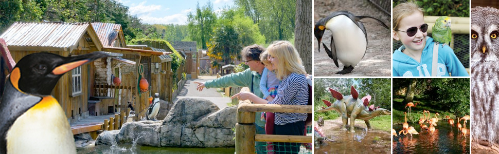 Highlights of Gloucestershire Whats on and Gloucestershire Events