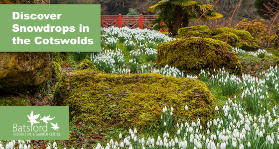 Whats On, Events and Places - Click to view