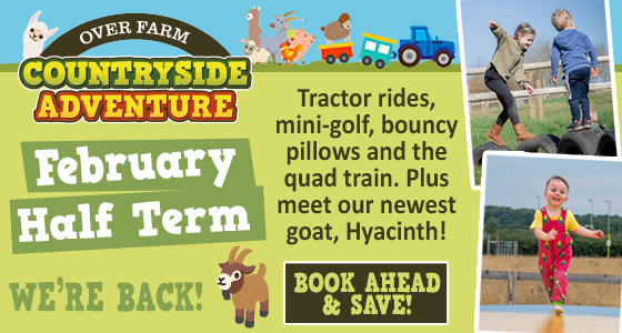 Schools Holidays in Gloucestershire - Click to view