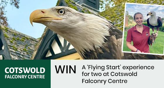 Gloucestershire Competitions - Click to view