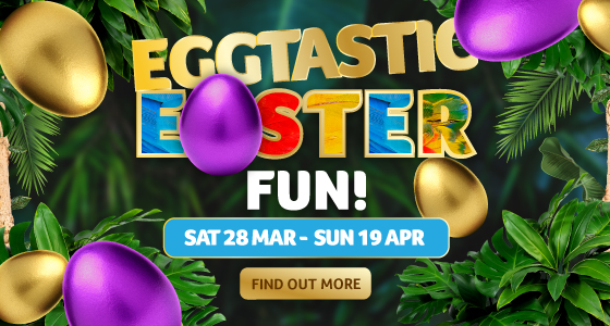 Whats On, Events and Places - Click to view