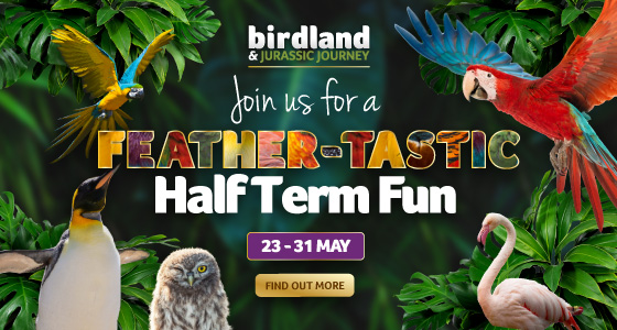 Schools Holidays in Gloucestershire - Click to view