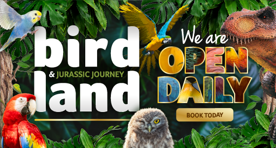 Cotswolds Whats On, Events and Places - Click to view