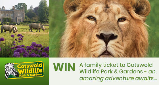 Gloucestershire Competitions - Click to view