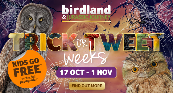 Cotswolds Whats On, Events and Places - Click to view