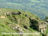 5. The Cleeve Hill Ring