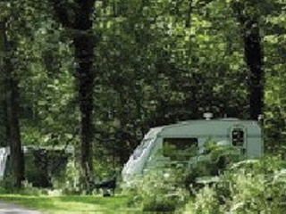 Woodlands View Caravan & Campsite
