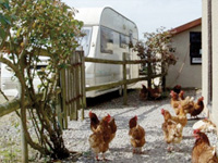 Hogsdown Farm Caravan & Camping Site