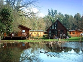 Whitemead Forest Park - Cabins & Lodges