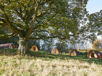 Whitemead Forest Park Glamping In The Forest Of Dean