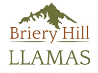 Briery Hill Llamas