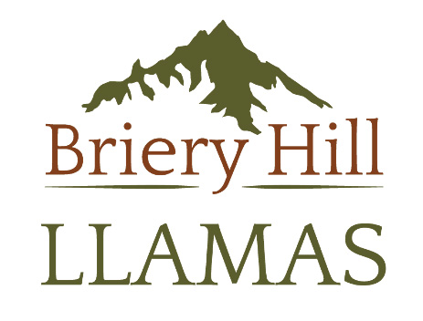 Briery Hill Llamas