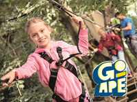 Go Ape Treetop Adventure at Beechenhurst