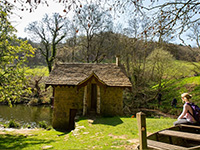 Woodchester Park