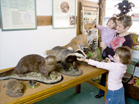 John Moore Countryside Museum