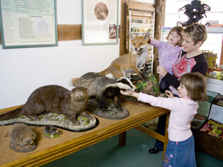 John Moore Countryside Museum