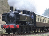 Dean Forest Railway