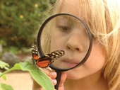 Wye Valley Butterfly Zoo